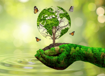 Environmental Audit (EAa). Services