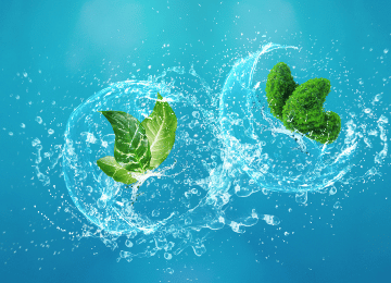 Environment and Social Management Systems 