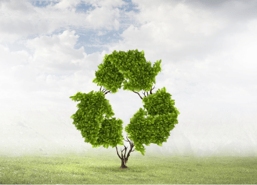 Environment and Social Impact Plans 